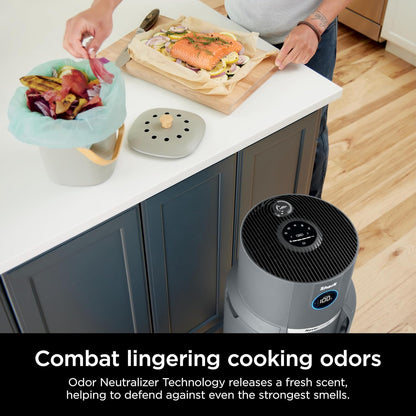 Home purifier with NeverChange HEPA air filter for multi-room powerful purification, filters smoke and captures 99.98% of particles and dust